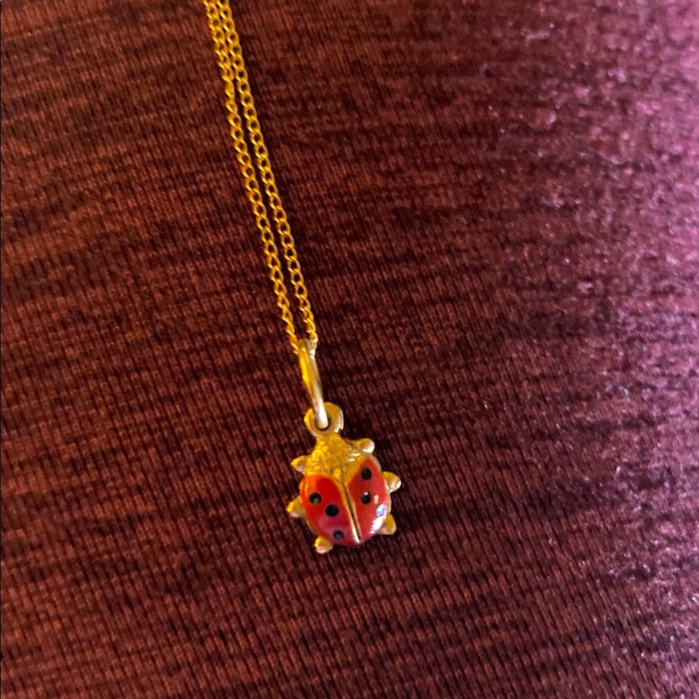 Delicate Vintage Ladybug Necklace